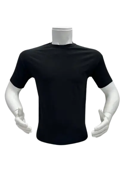 T-Shirt (Massimo Dutti) TCH16