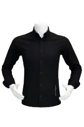 Long sleeve shirt (SALVATORE FERRAGAMO) LMG21