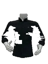 Long sleeve shirt (LACOSTE) LMG14