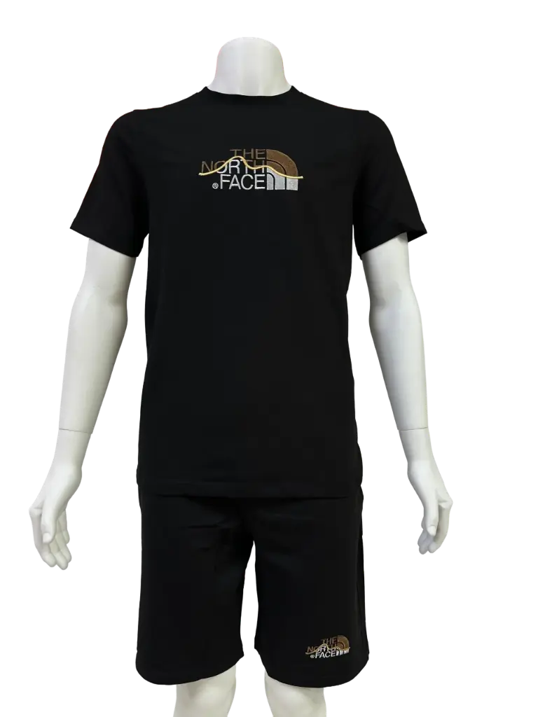 Casual sports outfit (the north face02) co06