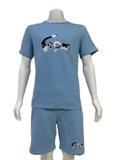 Casual sports outfit (LACOSTE) co03