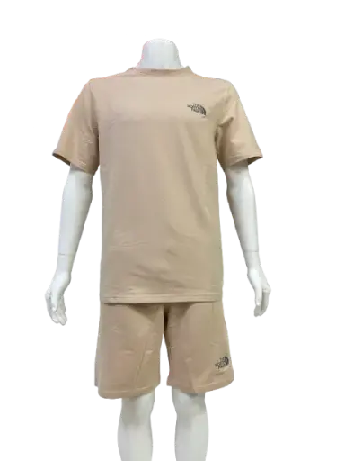 Casual sports outfit (the north face02) co06